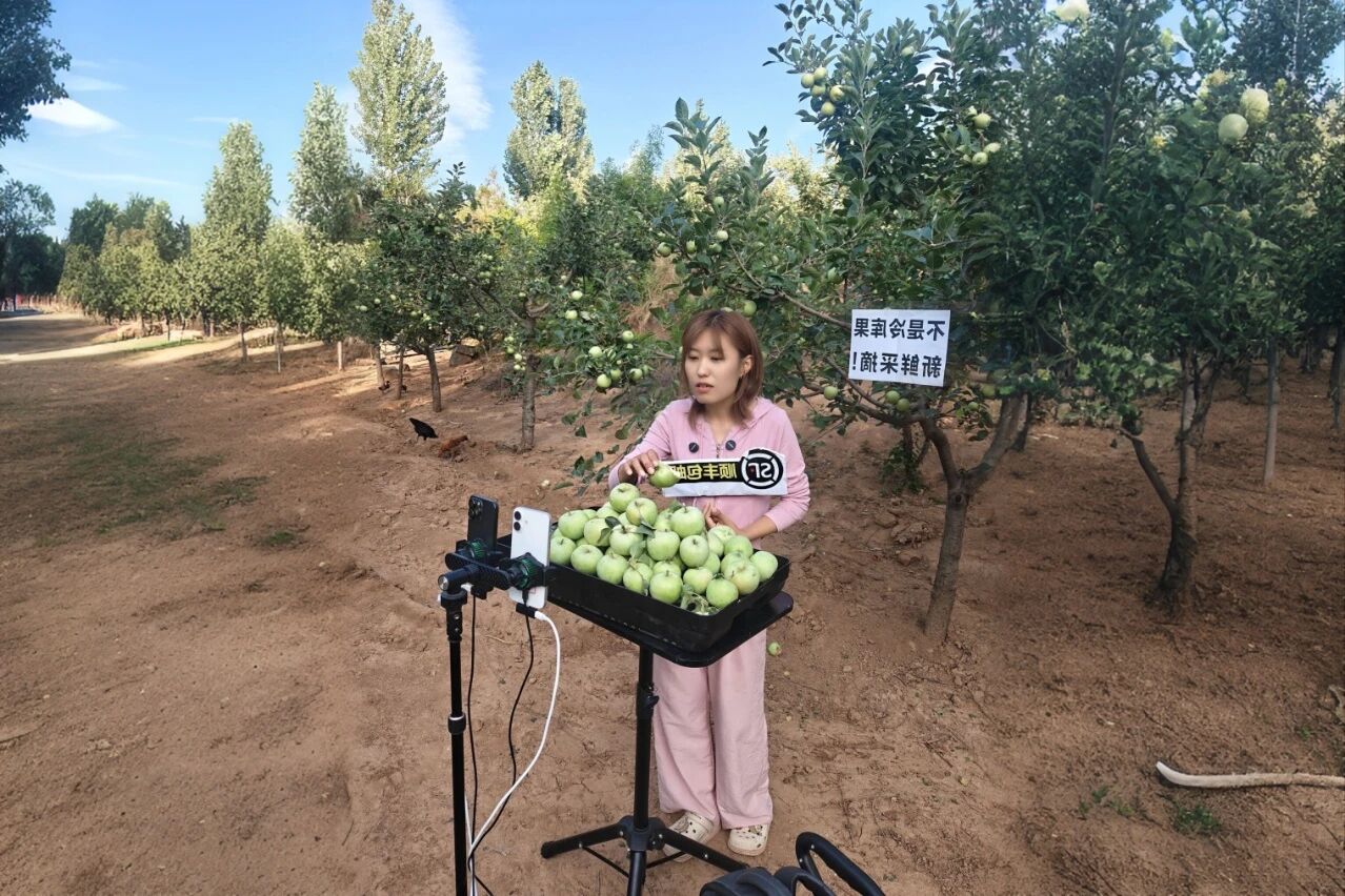 決戰(zhàn)四季度，圣家樂購雙十一全域發(fā)力促增長2